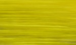 Rapeseed field near Boarhunt, UK. : Artistic, United Kingdom