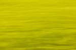 Rapeseed field near Boarhunt, UK. : Artistic, United Kingdom