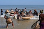 In a frenzy women storm the returning fishermen to get their share of the fish -  Morondava, Madagascar.