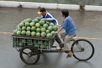 Can Tho, Vietnam. : People, Vietnam