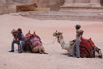 Bedouin camel drivers waiting for customers. : Jordan