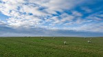 Avebury countryside. : United Kingdom