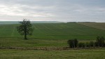 Avebury countryside. : United Kingdom