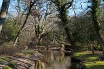 The New Forest. : Nature, United Kingdom