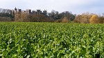 Framlingham Castle. : United Kingdom