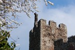 Framlingham Castle. : United Kingdom