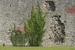 Portchester Castle, Portchester, United Kingdom. : United Kingdom