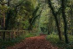 Autumn in the UK. : Countries, United Kingdom