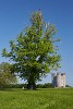 The 18th century Hiorne Tower in Arundel Park overlooking Swanbourne Lake, close to Arundel Castle. : United Kingdom