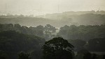 Portsdown Hill at  silly-o'clock , Fareham, United Kingdom. : United Kingdom