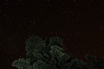 Starry Night near Old Idsworth in Hampshire, UK. The foreground was lit with a flashlight.