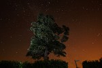 Starry Night near Old Idsworth in Hampshire, UK. The foreground was lit with a flashlight.