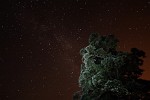 Starry Night near Old Idsworth in Hampshire, UK. The foreground was lit with a flashlight.