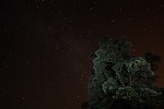 Starry Night near Old Idsworth in Hampshire, UK. The foreground was lit with a flashlight.