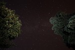 Starry Night near Old Idsworth in Hampshire, UK. The foreground was lit with a flashlight.