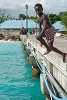 Oistins pier, Barbados. : Barbados