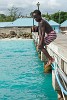 Oistins pier, Barbados. : Barbados