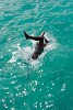 Oistins pier, Barbados. : Barbados