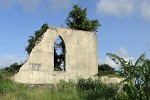 Just off Grand Etang road. : Grenada