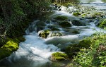 Sparkling stream near Kilkenny. : B+W 103 ND 0,9 (8x) filter, Ireland