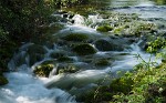 Sparkling stream near Kilkenny. : B+W 103 ND 0,9 (8x) filter, Ireland