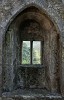 Blarney Castle. : Ireland