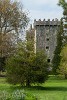 Blarney Castle. : Ireland