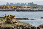 Rugged Connemara landscape. : Ireland