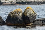 Rugged Connemara landscape. : Ireland