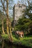 Aughnanure Castle : Ireland