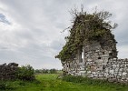 In the Irish countryside. : Ireland