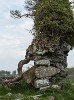 In the Irish countryside. : Ireland