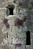 A closer look at the Temple Finghin round tower, Clonmacnoise, Ireland. : Ireland