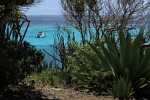 Splendid views on Baradol Island, Tobago Cays, St Vincent & the Grenadines. : St Vincent & the Grenadines