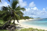 Petit Tabac, Tobago Cays, St Vincent & the Grenadines. : St Vincent & the Grenadines