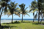 Petit Tabac, Tobago Cays, St Vincent & the Grenadines. : St Vincent & the Grenadines