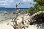 Petit Tabac, Tobago Cays, St Vincent & the Grenadines. : St Vincent & the Grenadines