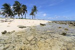 Petit Tabac, Tobago Cays, St Vincent & the Grenadines. : St Vincent & the Grenadines