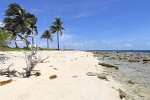 Petit Tabac, Tobago Cays, St Vincent & the Grenadines. : St Vincent & the Grenadines