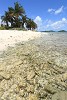 Petit Tabac, Tobago Cays, St Vincent & the Grenadines. : St Vincent & the Grenadines