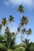 Bequia Island, St Vincent & the Grenadines. : St Vincent & the Grenadines