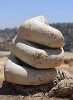 This massive marble hand was found near the Roman Temple of Hercules. It once belonged to a colossal 13m high statue making it one of the largest statues of Greco-Roman times. : Jordan