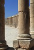 Columns around the unusual oval-shaped Forum. The Forum or plaza, in the heart of the city, links the main thouroughfare (Cardo Maximus) with the Temple of Zeus. It served as a market place and was the centre of the city's political and social life. : Jordan