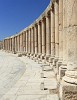 Columns around the unusual oval-shaped Forum. The Forum or plaza, in the heart of the city, links the main thouroughfare (Cardo Maximus) with the Temple of Zeus. It served as a market place and was the centre of the city's political and social life. : Jordan