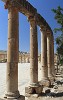 Columns around the unusual oval-shaped Forum. The Forum or plaza, in the heart of the city, links the main thouroughfare (Cardo Maximus) with the Temple of Zeus. It served as a market place and was the centre of the city's political and social life. : Jordan