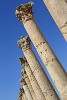 Columns along the Cardo Maximus. : Jordan