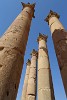 Sandstone Pillars at the Temple of Artemis, Jerash. : Jordan