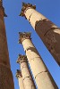 Sandstone Pillars at the Temple of Artemis, Jerash. : Jordan