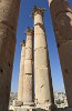 Sandstone Pillars at the Temple of Artemis, Jerash. : Jordan