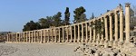 Columns around the unusual oval-shaped Forum. The Forum or plaza, in the heart of the city, links the main thouroughfare (Cardo Maximus) with the Temple of Zeus. It served as a market place and was the centre of the city's political and social life. : Jordan